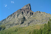 Grizzley area