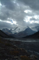 Athabasca Icefield