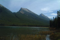 Buck Lake