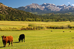 Ralph Lauren's Ranch