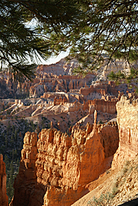 Bryce
