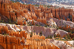 Bryce