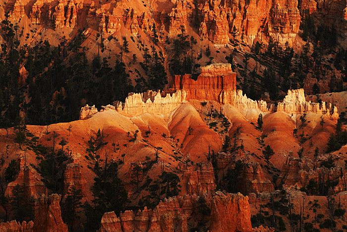 The Fortress