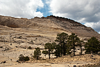 Fossilized Sand Dunes