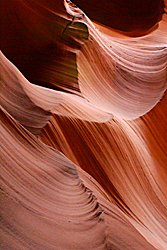 Canyon X