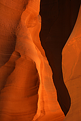 Canyon X
