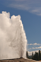 Old Faithful
