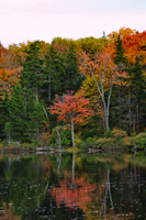 Grout Pond