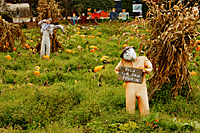 Equinox Valley Nursery