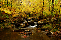 Little Black Branch