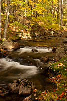 Jordan Stream