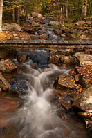 Jordan Stream