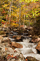Jordan Stream