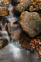 Jordan Stream
