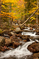 Jordan Stream