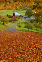 Sleepy Hollow Farm