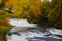 Stream