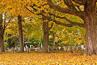 Old South Church Cemetary