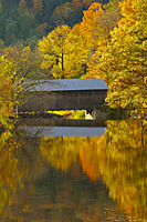 Covered Bridge