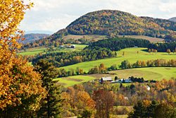 View from Pecham Cemetary