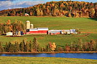 The Farm at Molly's Pond