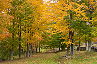 Mad River Valley