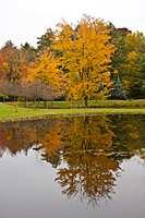 Mad River Valley