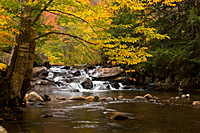 Mad River