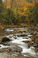 Mad River
