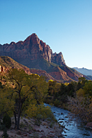 The Watchman