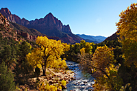 Watchman Bridge