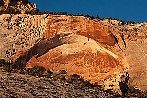 Zion Slickrock