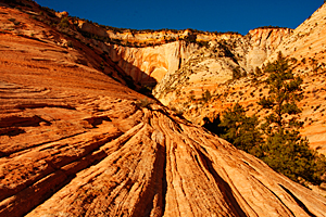 Zion Slickrock