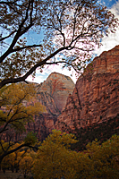 Lady Mountain