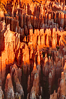 Wall of Windows