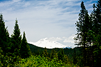 Mt. Shasta
