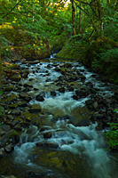 Stream Below Bridalveil Falls