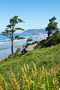 Cannon Beach