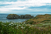 Coquille Point