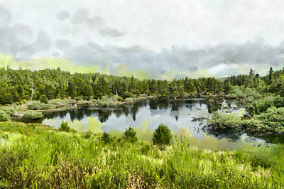 Oregon Dunes Lake