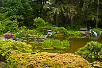 Japanese Garden