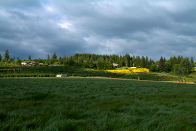 Farm near Silver Falls