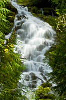 Proxy Falls
