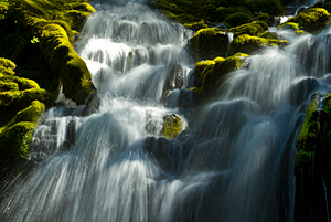 Proxy Falls
