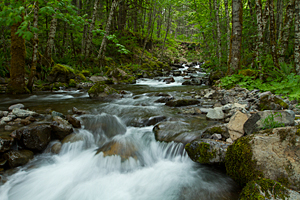 Tumble Creek