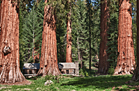 Site of Galen Clark's Cabin