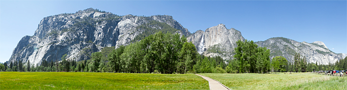 Sentinel Meadow