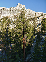 Unicorn Peak