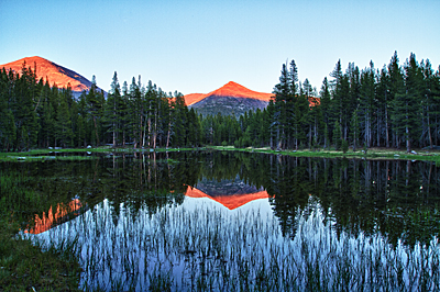 Dana Tarn