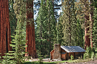 Site of Galen Clark's Cabin